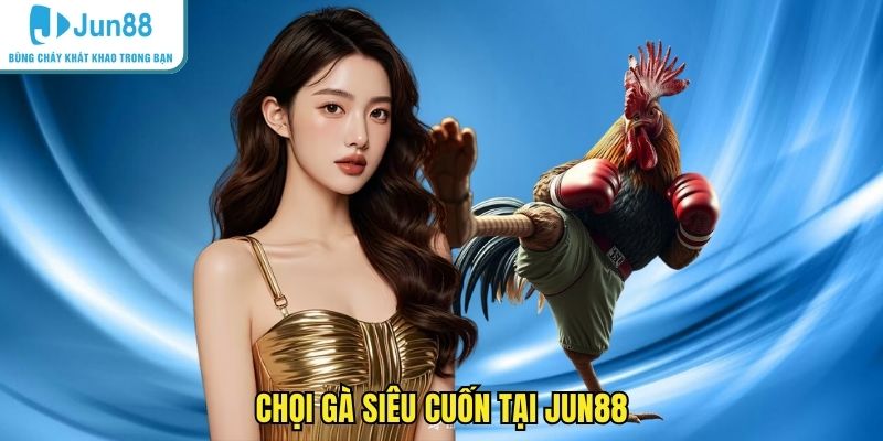 Chọi gà siêu cuốn tại JUN88