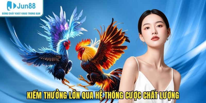 Kiếm thưởng lớn qua hệ thống cược chất lượng