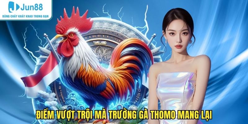 Điểm vượt trội mà trường gà Thomo mang lại