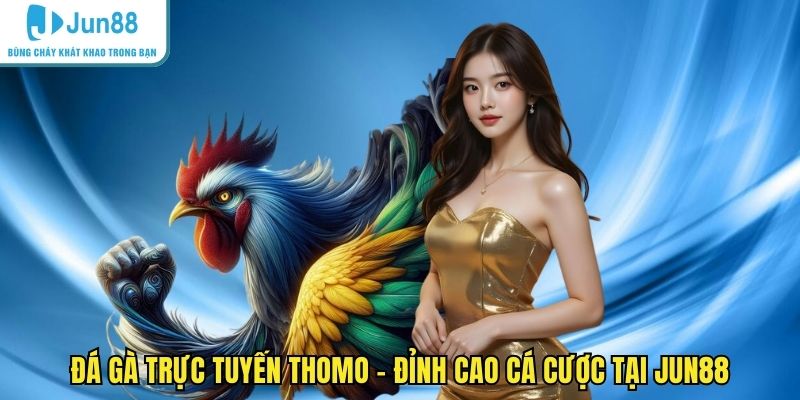 đá gà trực tuyến Thomo