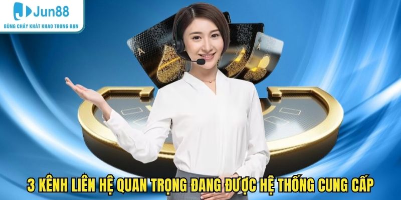 3 kênh liên hệ quan trọng đang được hệ thống cung cấp