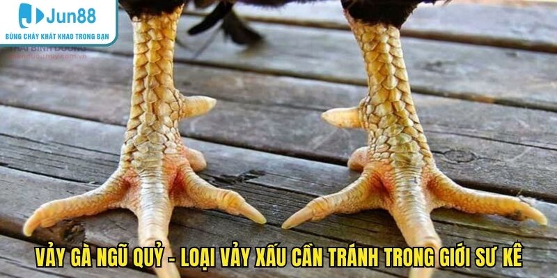 vảy gà ngũ quỷ