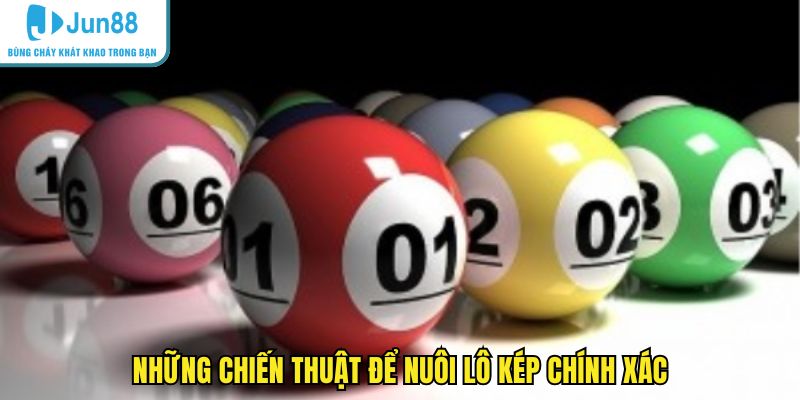 Những chiến thuật để nuôi lô kép chính xác